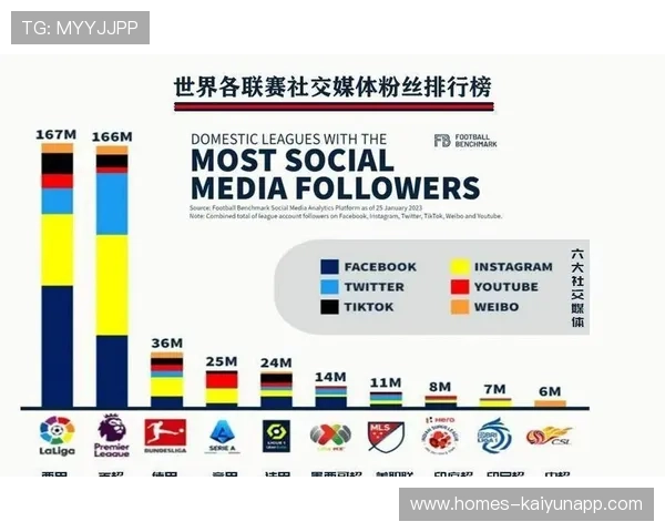 社交媒体热议：粉丝最关心的问题解答，社交媒体粉丝数量排行